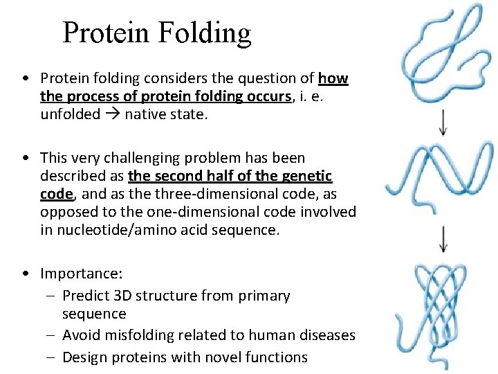 Protein Folding • Protein folding considers the question of how the process of protein