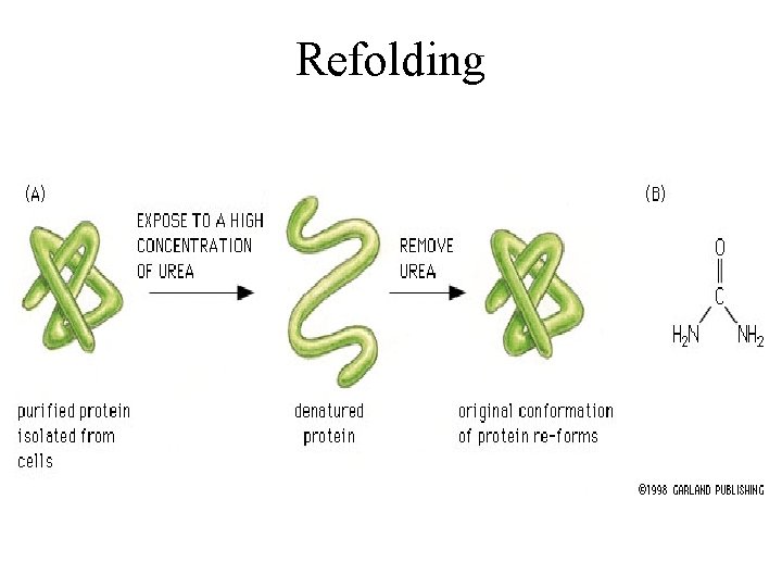 Refolding 