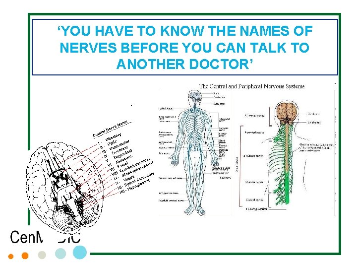 ‘YOU HAVE TO KNOW THE NAMES OF NERVES BEFORE YOU CAN TALK TO ANOTHER