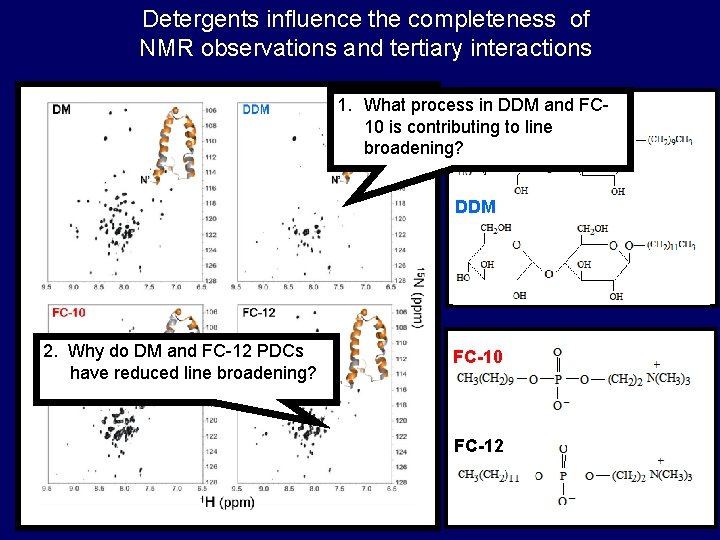 Detergents influence the completeness of NMR observations and tertiary interactions 1. What process DMin Detergents influence the completeness of NMR observations and tertiary interactions 1. What process DMin