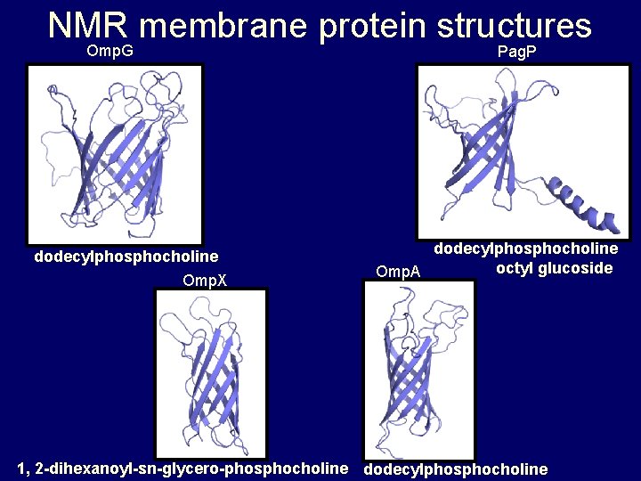 NMR membrane protein structures Omp. G Pag. P dodecylphosphocholine Omp. X dodecylphosphocholine octyl glucoside NMR membrane protein structures Omp. G Pag. P dodecylphosphocholine Omp. X dodecylphosphocholine octyl glucoside