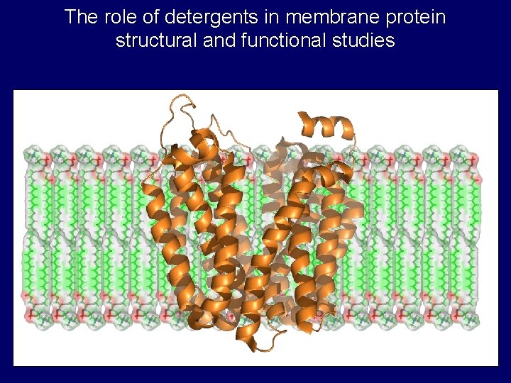 The role of detergents in membrane protein structural and functional studies The role of detergents in membrane protein structural and functional studies