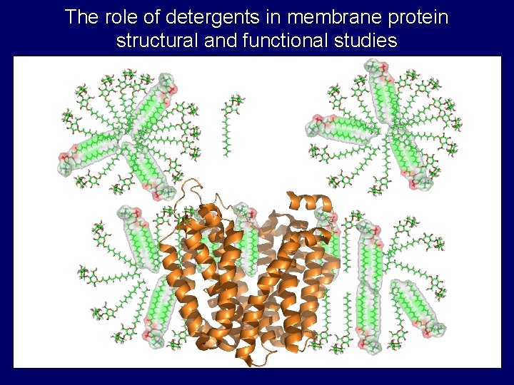 The role of detergents in membrane protein structural and functional studies The role of detergents in membrane protein structural and functional studies