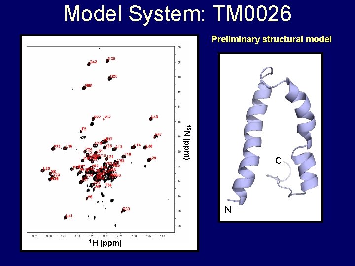 Model System: TM 0026 Preliminary structural model 15 N (ppm) C N 1 H Model System: TM 0026 Preliminary structural model 15 N (ppm) C N 1 H