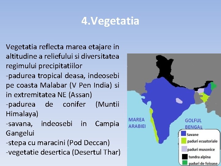 4. Vegetatia reflecta marea etajare in altitudine a reliefului si diversitatea regimului precipitatiilor -padurea