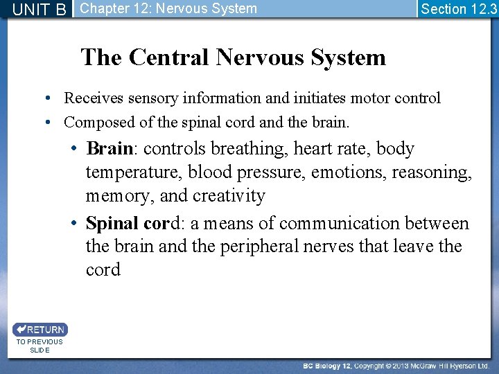 UNIT B Chapter 12: Nervous System Section 12. 3 The Central Nervous System •