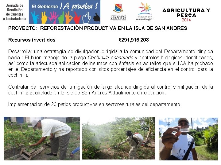 AGRICULTURA Y PESCA 2014 PROYECTO: REFORESTACIÒN PRODUCTIVA EN LA ISLA DE SAN ANDRES Recursos
