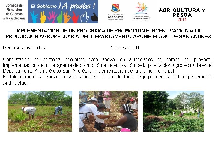 AGRICULTURA Y PESCA 2014 IMPLEMENTACION DE UN PROGRAMA DE PROMOCION E INCENTIVACION A LA