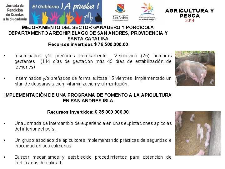 AGRICULTURA Y PESCA 2014 MEJORAMIENTO DEL SECTOR GANADERO Y PORCICOLA DEPARTAMENTO ARECHIPIELAGO DE SAN