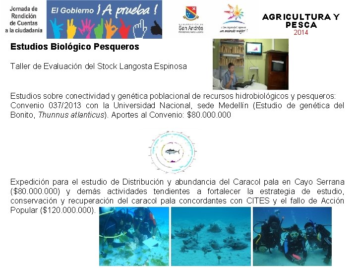 AGRICULTURA Y PESCA 2014 Estudios Biológico Pesqueros Taller de Evaluación del Stock Langosta Espinosa