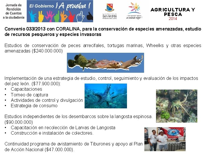 AGRICULTURA Y PESCA 2014 Convenio 033/2013 con CORALINA, para la conservación de especies amenazadas,