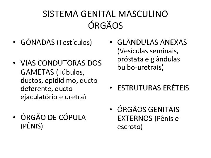 SISTEMA GENITAL MASCULINO ÓRGÃOS • GÔNADAS (Testículos) • VIAS CONDUTORAS DOS GAMETAS (Túbulos, ductos,