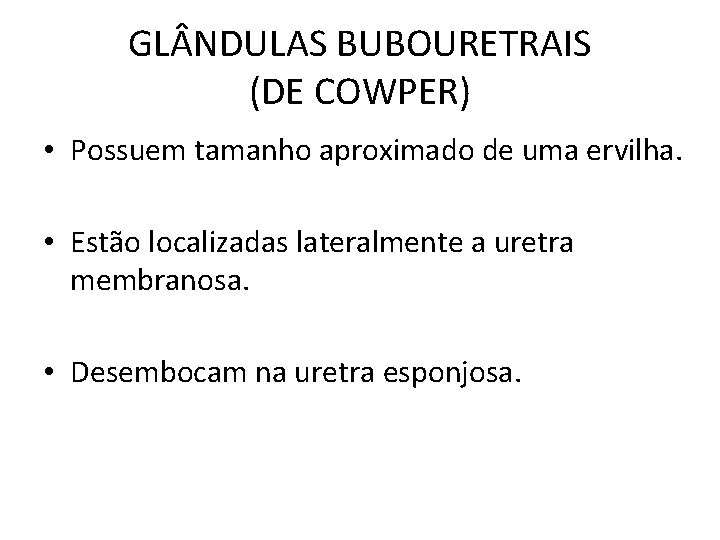 GL NDULAS BUBOURETRAIS (DE COWPER) • Possuem tamanho aproximado de uma ervilha. • Estão GL NDULAS BUBOURETRAIS (DE COWPER) • Possuem tamanho aproximado de uma ervilha. • Estão