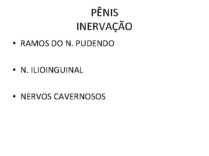 PÊNIS INERVAÇÃO • RAMOS DO N. PUDENDO • N. ILIOINGUINAL • NERVOS CAVERNOSOS 