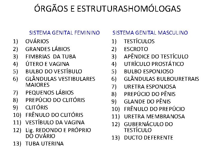 ÓRGÃOS E ESTRUTURASHOMÓLOGAS SISTEMA GENITAL FEMININO 1) 2) 3) 4) 5) 6) 7) 8) ÓRGÃOS E ESTRUTURASHOMÓLOGAS SISTEMA GENITAL FEMININO 1) 2) 3) 4) 5) 6) 7) 8)