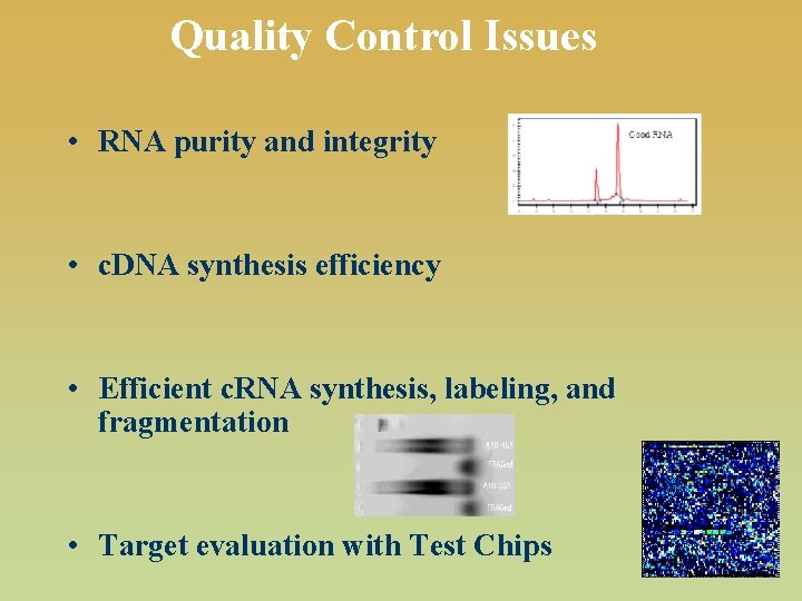 Quality Control Issues • RNA purity and integrity • c. DNA synthesis efficiency •