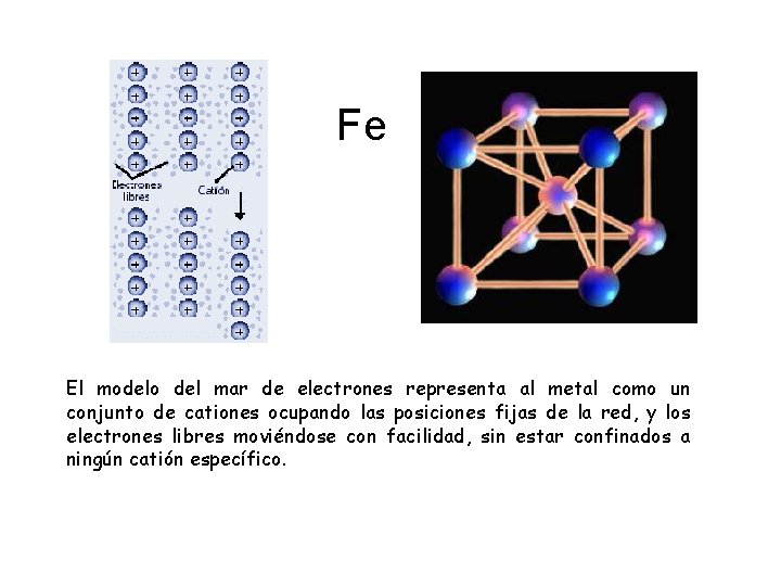 Fe El modelo del mar de electrones representa al metal como un conjunto de