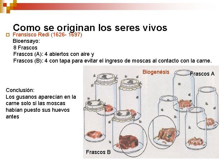 ¨ Como se originan los seres vivos Fransisco Redi (1626 - 1697) Bioensayo: 8 ¨ Como se originan los seres vivos Fransisco Redi (1626 - 1697) Bioensayo: 8