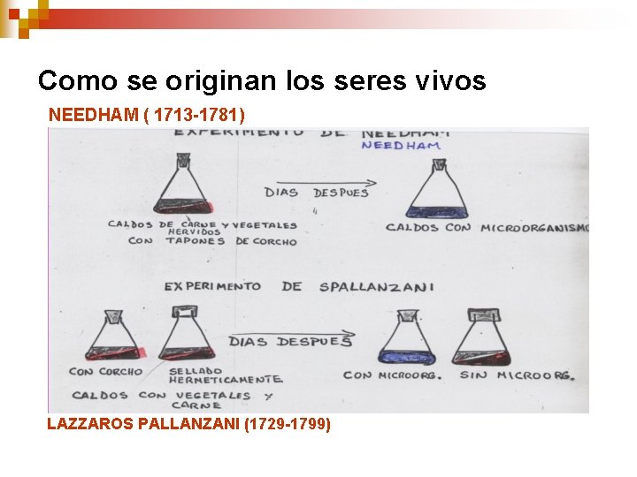 Como se originan los seres vivos NEEDHAM ( 1713 -1781) LAZZAROS PALLANZANI (1729 -1799) Como se originan los seres vivos NEEDHAM ( 1713 -1781) LAZZAROS PALLANZANI (1729 -1799)