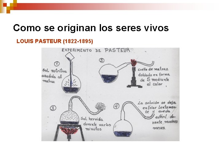 Como se originan los seres vivos LOUIS PASTEUR (1822 -1895) Como se originan los seres vivos LOUIS PASTEUR (1822 -1895)