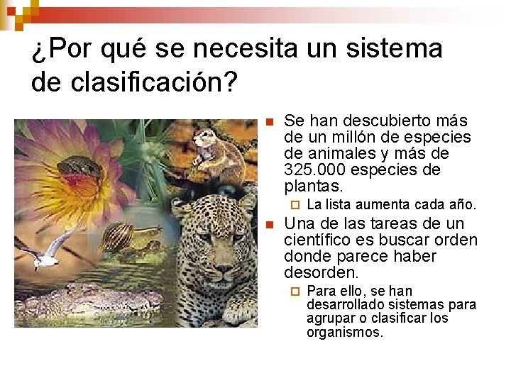 ¿Por qué se necesita un sistema de clasificación? n Se han descubierto más de ¿Por qué se necesita un sistema de clasificación? n Se han descubierto más de