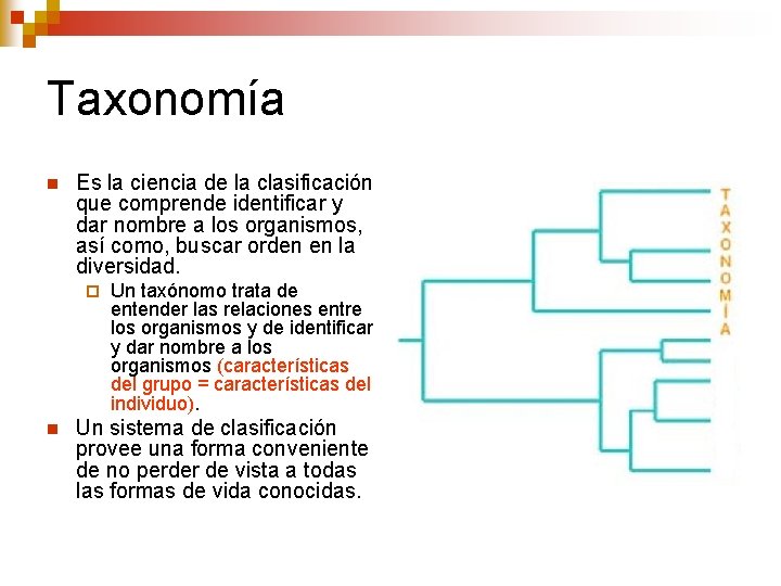 Taxonomía n Es la ciencia de la clasificación que comprende identificar y dar nombre Taxonomía n Es la ciencia de la clasificación que comprende identificar y dar nombre