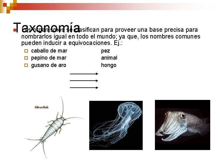 Los organismos se clasifican para proveer una base precisa para Taxonomía nombrarlos igual en Los organismos se clasifican para proveer una base precisa para Taxonomía nombrarlos igual en