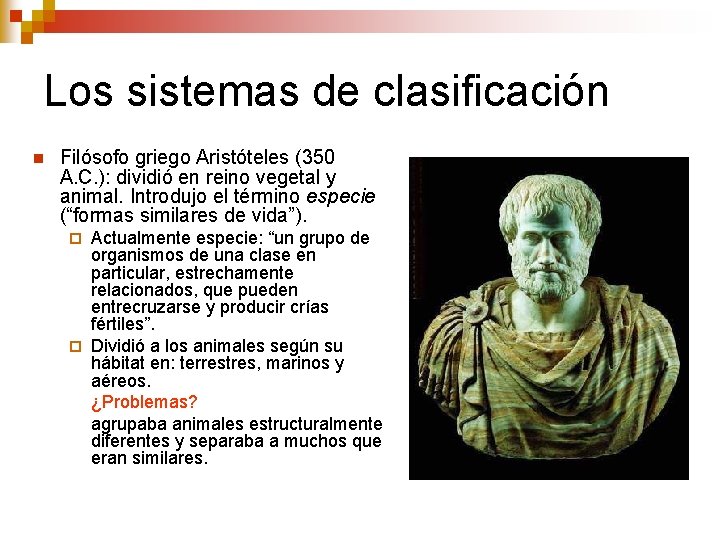 Los sistemas de clasificación n Filósofo griego Aristóteles (350 A. C. ): dividió en Los sistemas de clasificación n Filósofo griego Aristóteles (350 A. C. ): dividió en