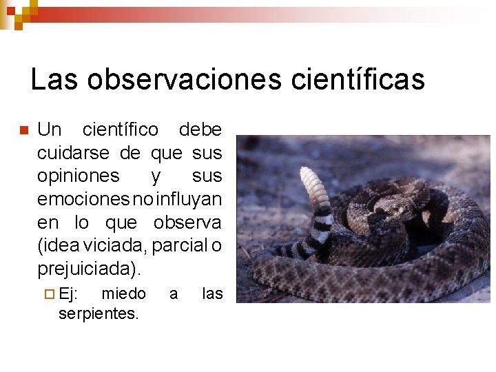 Las observaciones científicas n Un científico debe cuidarse de que sus opiniones y sus Las observaciones científicas n Un científico debe cuidarse de que sus opiniones y sus