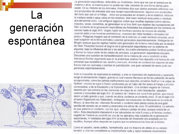 La generación espontánea La generación espontánea
