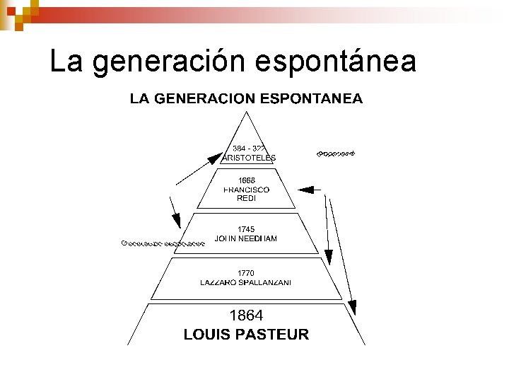 La generación espontánea La generación espontánea