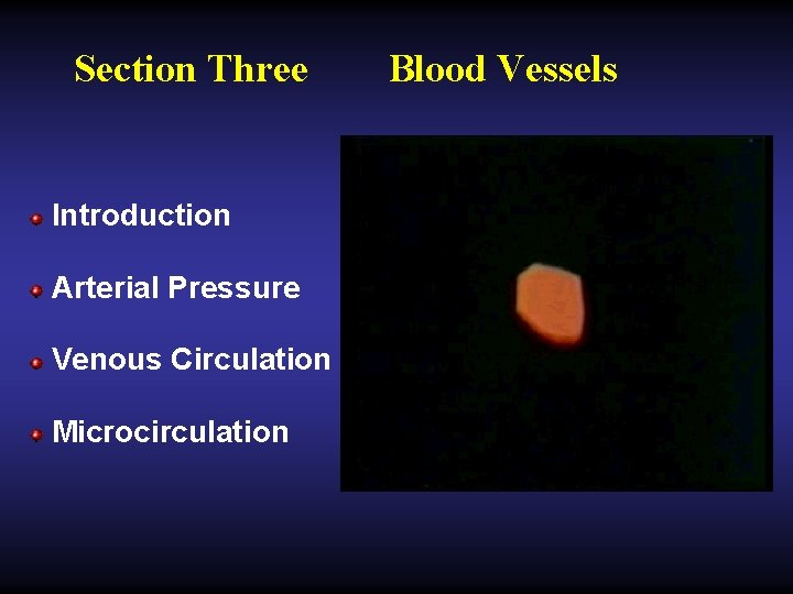 Section Three Introduction Arterial Pressure Venous Circulation Microcirculation Blood Vessels 