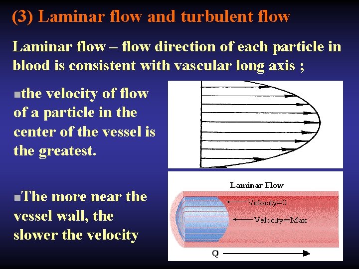 (3) Laminar flow and turbulent flow Laminar flow – flow direction of each particle