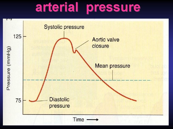 arterial pressure 