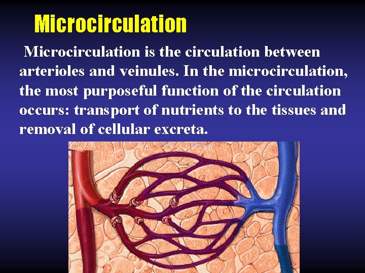 Microcirculation is the circulation between arterioles and veinules. In the microcirculation, the most purposeful