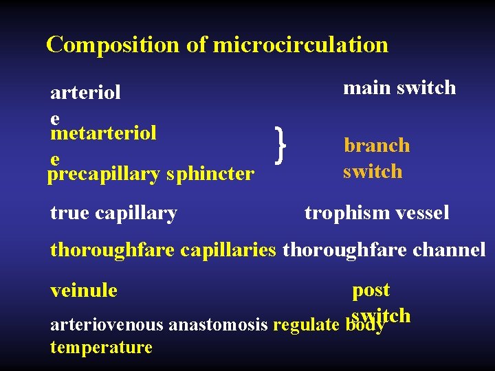 Composition of microcirculation arteriol e metarteriol e precapillary sphincter true capillary main switch }