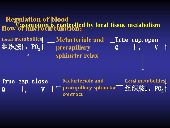 Regulation of blood Vasomotion is controlled by local tissue metabolism flow of microcirculation： Local