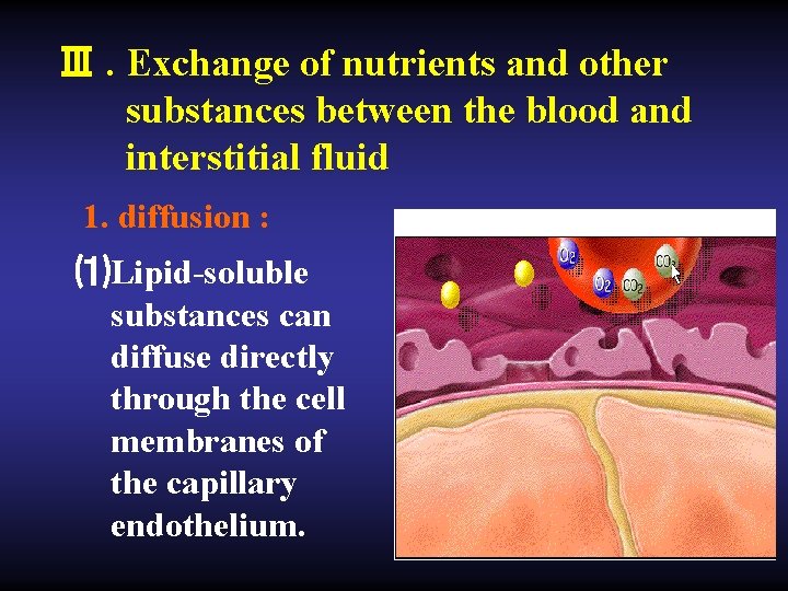 Ⅲ. Exchange of nutrients and other substances between the blood and interstitial fluid 1.