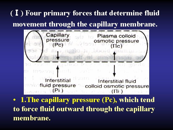 (Ⅰ) Four primary forces that determine fluid movement through the capillary membrane. • 1.