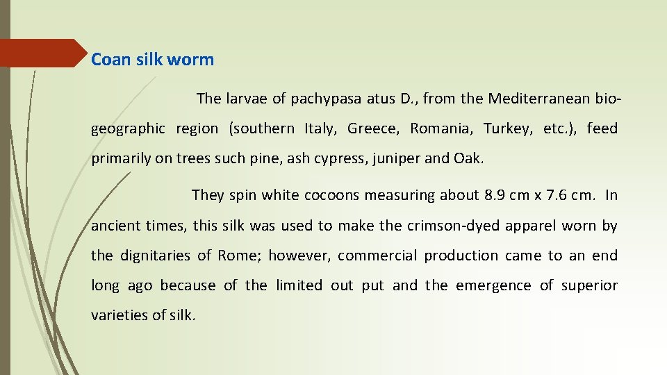 Coan silk worm The larvae of pachypasa atus D. , from the Mediterranean biogeographic