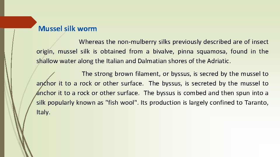 Mussel silk worm Whereas the non-mulberry silks previously described are of insect origin, mussel