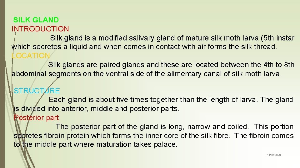SILK GLAND INTRODUCTION Silk gland is a modified salivary gland of mature silk moth
