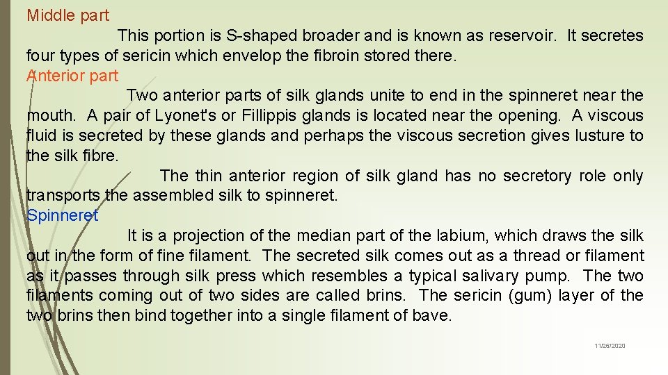 Middle part This portion is S-shaped broader and is known as reservoir. It secretes