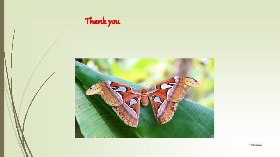 Thank you 11/26/2020 