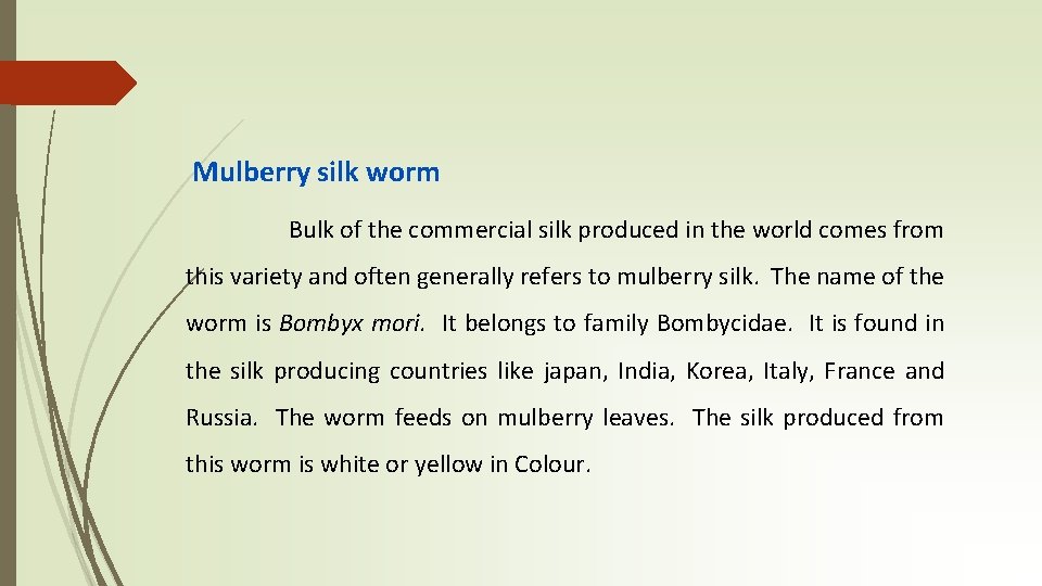 Mulberry silk worm Bulk of the commercial silk produced in the world comes from