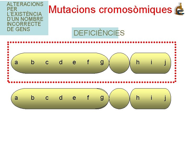 ALTERACIONS PER L’EXISTÈNCIA D’UN NOMBRE INCORRECTE DE GENS Mutacions cromosòmiques DEFICIÈNCIES a b c
