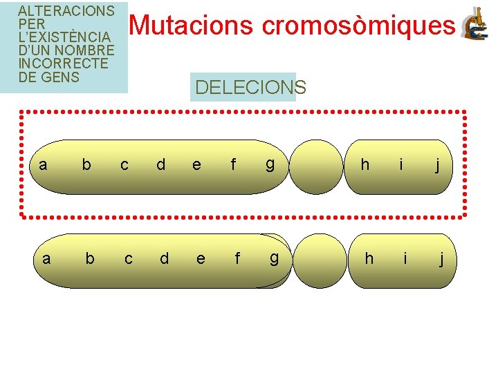 ALTERACIONS PER L’EXISTÈNCIA D’UN NOMBRE INCORRECTE DE GENS Mutacions cromosòmiques DELECIONS a b c