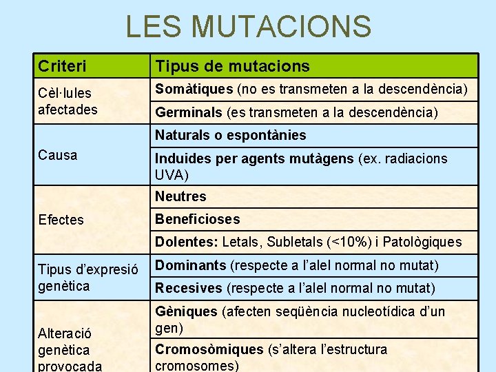 LES MUTACIONS Criteri Tipus de mutacions Cèl·lules afectades Somàtiques (no es transmeten a la