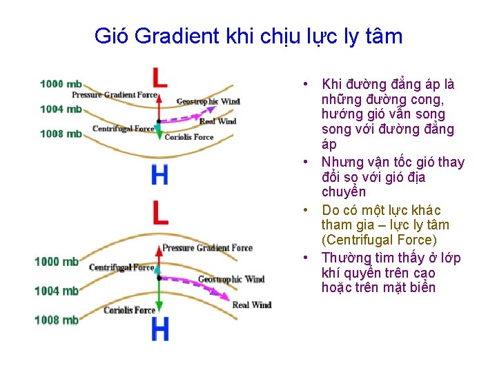 Gió Gradient khi chịu lực ly tâm • Khi đường đẳng áp là những