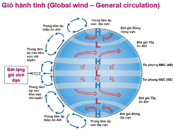 Gió hành tinh (Global wind – General circulation) Đới lặng gió xích đạo 